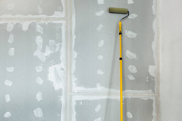 Best Drywall Texturing  in Stockton, MO